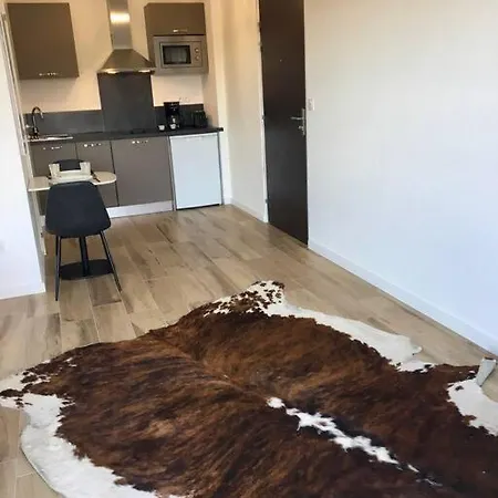 Magnifique Dans Neuve Apartment