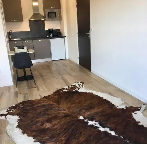 Magnifique Dans Neuve Apartament